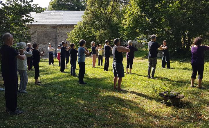 Yi Jin Jing Qi Gong au stage d'été