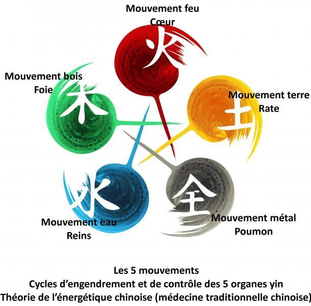 qi gong et 5 mouvements wu xing