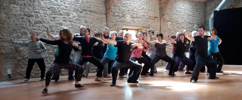 Dong gong en qi gong - mouvement de viser l'aigle. Qi gong, yoga, taï chi, Pilates, méditation, Caen, Argences, en ligne, Lyon