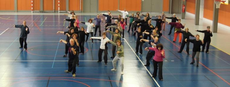 Forme à mains nues - Taï Chi Chuan style Yang Sau Chung. qi gong, yoga, Pilates, méditation, Caen, Argences, en ligne, Lyon